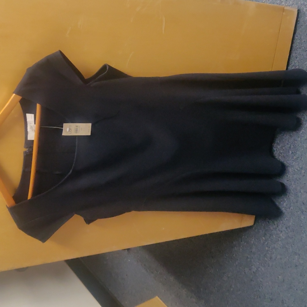 Loft Ann Taylor dress size 10 Petite